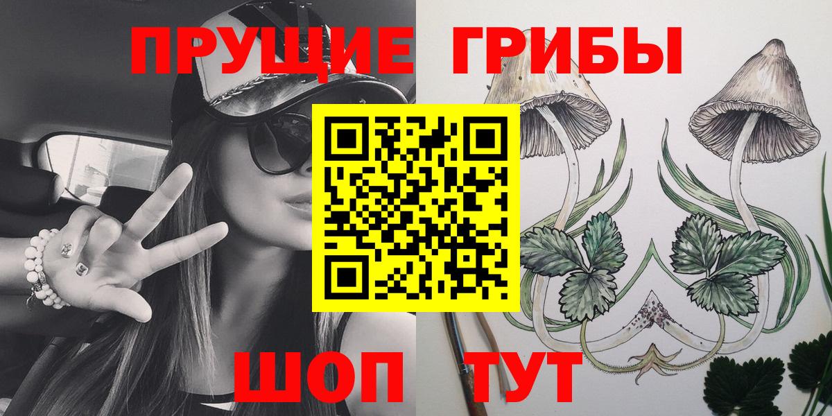 Кондопога  Галлюциногенные грибы Magic Shrooms  где продают   Вход с VPN 